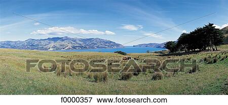 lake, landscape, landscapes, scene, scenery, scenes, sceneries View Large Photo Image Stock Photo - lake, landscape, landscapes, scene, scenery, scenes, sceneries. Fotosearch