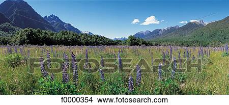 landscape, landscapes, scene, scenery, scenes, sceneries, scenic View Large Photo Image Picture - landscape, landscapes, scene, scenery, scenes, sceneries, scenic. Fotosearch