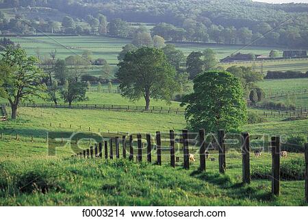 landscape, landscapes, scene, scenery, scenes, sceneries, scenic View Large Photo Image Picture - landscape, landscapes, scene, scenery, scenes, sceneries, scenic. Fotosearch