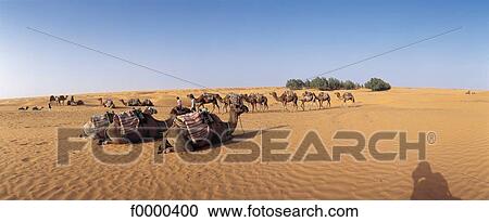 landscape, landscapes, scene, scenery, scenes, sceneries, scenic View Large Photo Image Stock Image - landscape, landscapes, scene, scenery, scenes, sceneries, scenic. Fotosearch