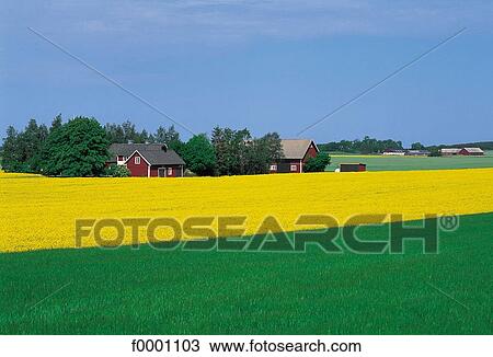landscape, landscapes, scene, scenery, scenes, sceneries, scenic View Large Photo Image Stock Image - landscape, landscapes, scene, scenery, scenes, sceneries, scenic. Fotosearch