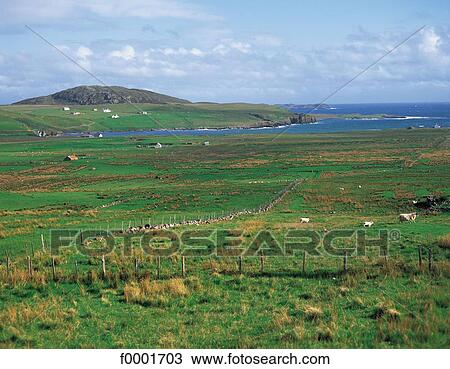 Stock Image - landscape, landscapes, scene, scenery, scenes, sceneries, scenic. Fotosearch