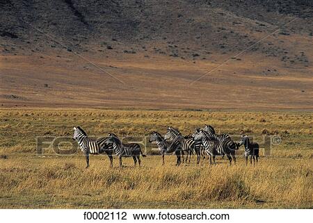 landscape, landscapes, scene, scenery, scenes, sceneries, scenic View Large Photo Image Stock Image - landscape, landscapes, scene, scenery, scenes, sceneries, scenic. Fotosearch