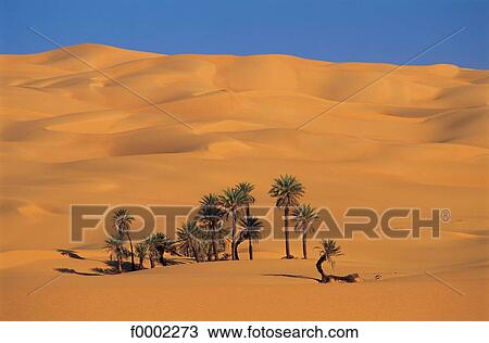 landscape, landscapes, scene, scenery, scenes, sceneries, scenic View Large Photo Image Stock Image - landscape, landscapes, scene, scenery, scenes, sceneries, scenic. Fotosearch