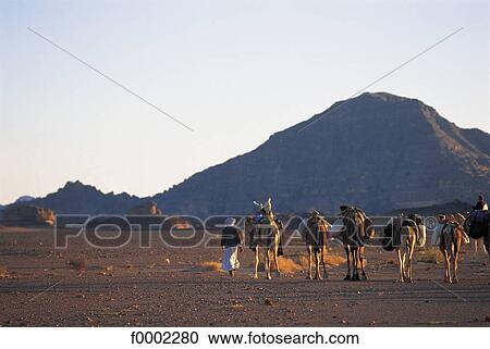 landscape, landscapes, scene, scenery, scenes, sceneries, scenic View Large Photo Image Stock Image - landscape, landscapes, scene, scenery, scenes, sceneries, scenic. Fotosearch