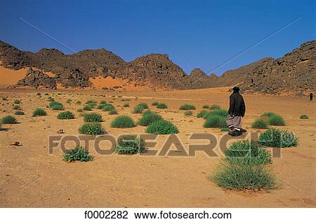 landscape, landscapes, scene, scenery, scenes, sceneries, scenic View Large Photo Image Stock Image - landscape, landscapes, scene, scenery, scenes, sceneries, scenic. Fotosearch