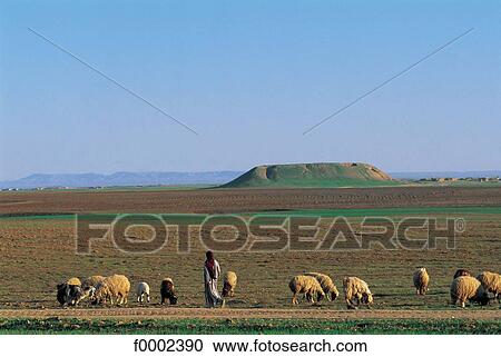 Stock Image - landscape, landscapes, scene, scenery, scenes, sceneries, scenic. Fotosearch