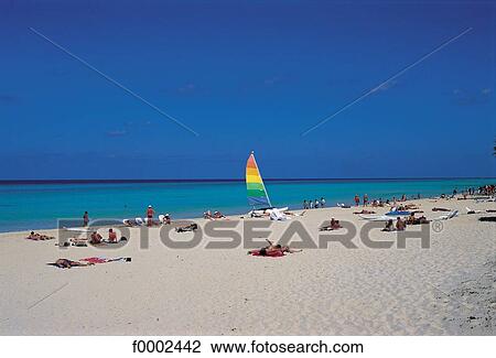 landscape, landscapes, scene, scenery, scenes, sceneries, scenic View Large Photo Image Stock Image - landscape, landscapes, scene, scenery, scenes, sceneries, scenic. Fotosearch