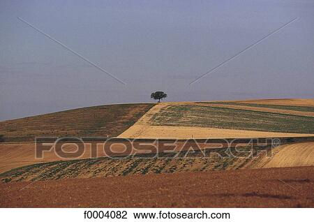 landscape, landscapes, scene, scenery, scenes, sceneries, scenic View Large Photo Image Stock Image - landscape, landscapes, scene, scenery, scenes, sceneries, scenic. Fotosearch