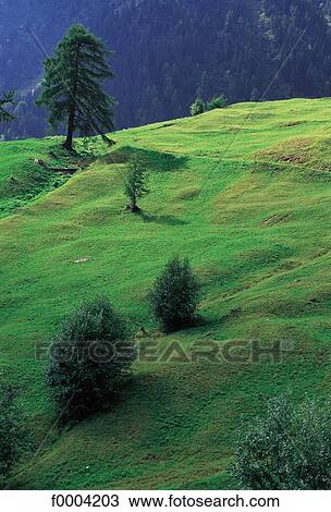 landscape, landscapes, scene, scenery, scenes, sceneries, scenic View Large Photo Image Stock Image - landscape, landscapes, scene, scenery, scenes, sceneries, scenic. Fotosearch