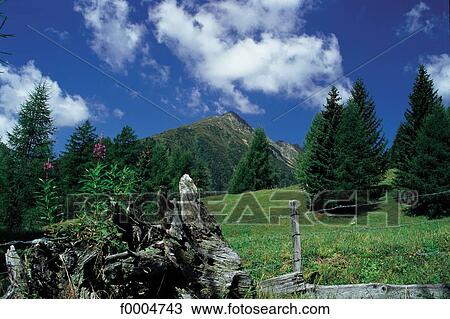 landscape, landscapes, scene, scenery, scenes, sceneries, scenic View Large Photo Image Stock Image - landscape, landscapes, scene, scenery, scenes, sceneries, scenic. Fotosearch