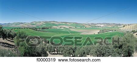 landscape, landscapes, scene, scenery, scenes, sceneries, scenic View Large Photo Image Stock Photo - landscape, landscapes, scene, scenery, scenes, sceneries, scenic. Fotosearch