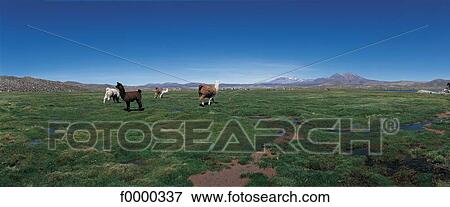 landscape, landscapes, scene, scenery, scenes, sceneries, scenic View Large Photo Image Stock Photo - landscape, landscapes, scene, scenery, scenes, sceneries, scenic. Fotosearch