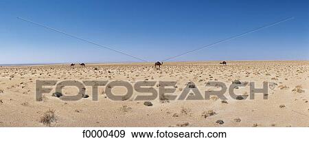 landscape, landscapes, scene, scenery, scenes, sceneries, scenic View Large Photo Image Stock Photo - landscape, landscapes, scene, scenery, scenes, sceneries, scenic. Fotosearch