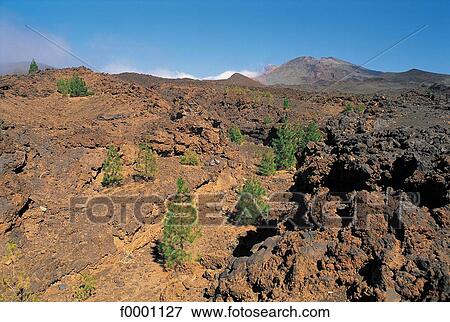 landscape, landscapes, scene, scenery, scenes, sceneries, scenic View Large Photo Image Stock Photo - landscape, landscapes, scene, scenery, scenes, sceneries, scenic. Fotosearch