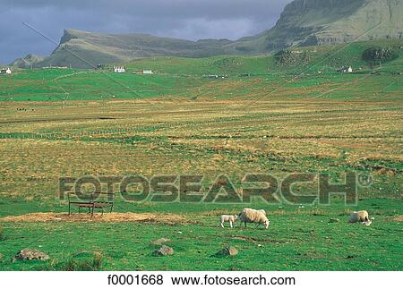 landscape, landscapes, scene, scenery, scenes, sceneries, scenic View Large Photo Image Stock Photo - landscape, landscapes, scene, scenery, scenes, sceneries, scenic. Fotosearch