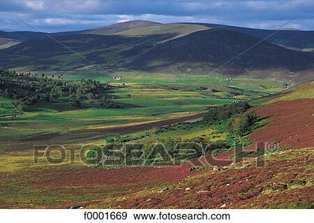 landscape, landscapes, scene, scenery, scenes, sceneries, scenic View Large Photo Image Stock Photo - landscape, landscapes, scene, scenery, scenes, sceneries, scenic. Fotosearch
