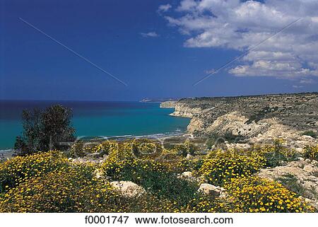 landscape, landscapes, scene, scenery, scenes, sceneries, scenic View Large Photo Image Stock Photo - landscape, landscapes, scene, scenery, scenes, sceneries, scenic. Fotosearch