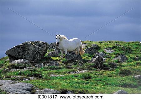 landscape, landscapes, scene, scenery, scenes, sceneries, scenic View Large Photo Image Stock Photo - landscape, landscapes, scene, scenery, scenes, sceneries, scenic. Fotosearch
