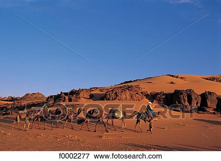 landscape, landscapes, scene, scenery, scenes, sceneries, scenic View Large Photo Image Stock Photo - landscape, landscapes, scene, scenery, scenes, sceneries, scenic. Fotosearch