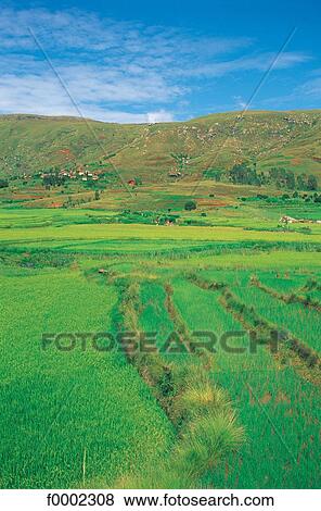 landscape, landscapes, scene, scenery, scenes, sceneries, scenic View Large Photo Image Stock Photo - landscape, landscapes, scene, scenery, scenes, sceneries, scenic. Fotosearch