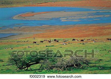 landscape, landscapes, scene, scenery, scenes, sceneries, scenic View Large Photo Image Stock Photo - landscape, landscapes, scene, scenery, scenes, sceneries, scenic. Fotosearch