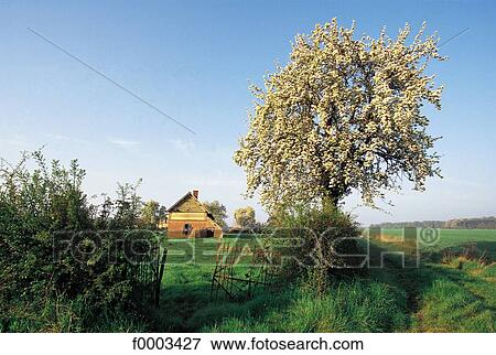 landscape, landscapes, scene, scenery, scenes, sceneries, scenic View Large Photo Image Stock Photo - landscape, landscapes, scene, scenery, scenes, sceneries, scenic. Fotosearch