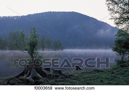 landscape, landscapes, scene, scenery, scenes, sceneries, scenic View Large Photo Image Stock Photo - landscape, landscapes, scene, scenery, scenes, sceneries, scenic. Fotosearch