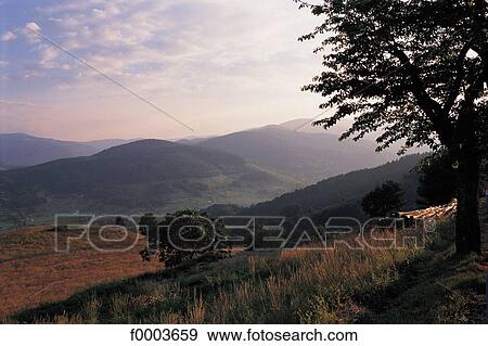 landscape, landscapes, scene, scenery, scenes, sceneries, scenic View Large Photo Image Stock Photo - landscape, landscapes, scene, scenery, scenes, sceneries, scenic. Fotosearch