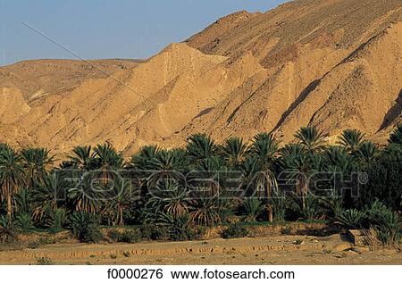 Stock Photograph - landscape, landscapes, scene, scenery, scenes, sceneries, scenic. Fotosearch