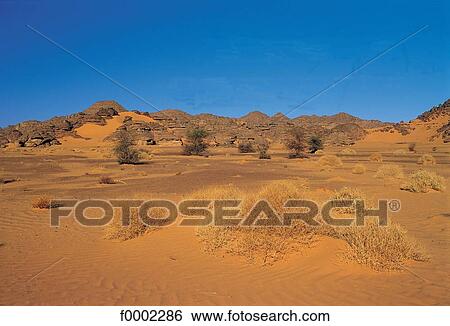 landscape, landscapes, scene, scenery, scenes, sceneries, scenic View Large Photo Image Stock Photograph - landscape, landscapes, scene, scenery, scenes, sceneries, scenic. Fotosearch