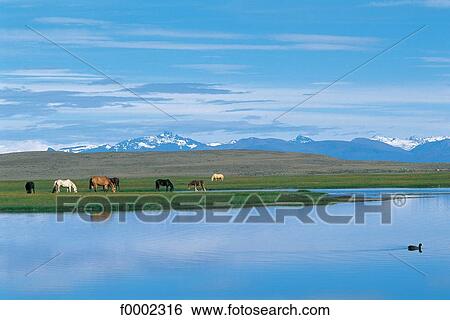 landscape, landscapes, scene, scenery, scenes, sceneries, scenic View Large Photo Image Stock Photograph - landscape, landscapes, scene, scenery, scenes, sceneries, scenic. Fotosearch