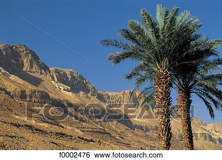 landscape, landscapes, scene, scenery, scenes, sceneries, scenic View Large Photo Image Stock Photograph - landscape, landscapes, scene, scenery, scenes, sceneries, scenic. Fotosearch