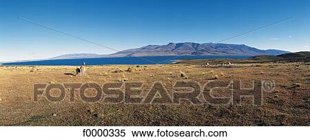 landscape, landscapes, scene, scenery, scenes, sceneries, scenic View Large Photo Image Stock Photography - landscape, landscapes, scene, scenery, scenes, sceneries, scenic. Fotosearch