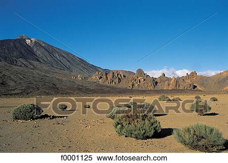 landscape, landscapes, scene, scenery, scenes, sceneries, scenic View Large Photo Image Stock Photography - landscape, landscapes, scene, scenery, scenes, sceneries, scenic. Fotosearch