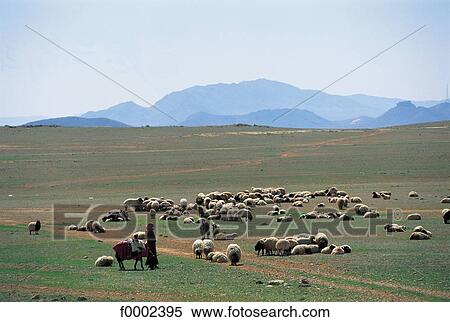 Stock Photography - landscape, landscapes, scene, scenery, scenes, sceneries, scenic. Fotosearch
