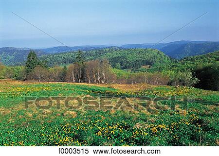 landscape, landscapes, scene, scenery, scenes, sceneries, scenic View Large Photo Image Stock Photography - landscape, landscapes, scene, scenery, scenes, sceneries, scenic. Fotosearch