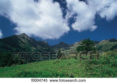 landscape, landscapes, scene, scenery, scenes, sceneries, scenic View Large Photo Image Stock Photography - landscape, landscapes, scene, scenery, scenes, sceneries, scenic. Fotosearch