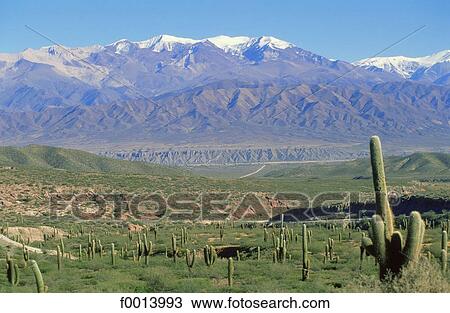 landscape, South America, open air, travel exterior, travel, Argentina View Large Photo Image Stock Image - landscape, South America, open air, travel exterior, travel, Argentina. Fotosearch