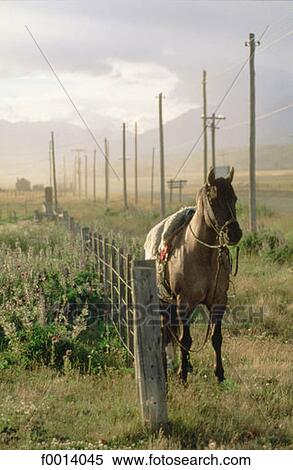 landscape, South America, open air, travel exterior, travel, landscapes, Argentina View Large Photo Image Stock Photography - landscape, South America, open air, travel exterior, travel, landscapes, Argentina. Fotosearch