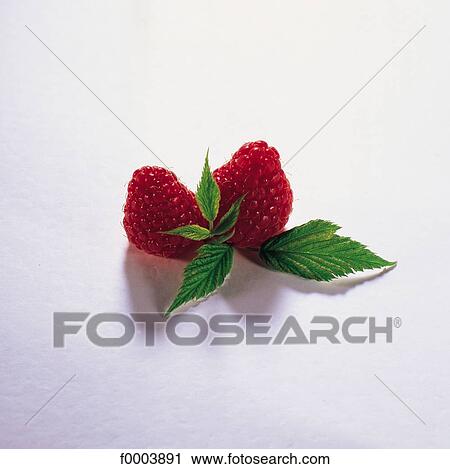 leaf, fruit, red, raspberry, berry currant, leaves, aliment View Large Photo Image Stock Image - leaf, fruit, red, raspberry, berry currant, leaves, aliment. Fotosearch