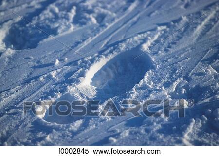 loneliness, lonely, footprint, footprints, footstep, footsteps, snow View Large Photo Image Stock Photography - loneliness, lonely, footprint, footprints, footstep, footsteps, snow. Fotosearch