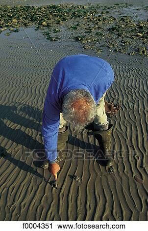 Malta, people, fisherman, shell, sand, Europe View Large Photo Image Stock Image - Malta, people, fisherman, shell, sand, Europe. Fotosearch