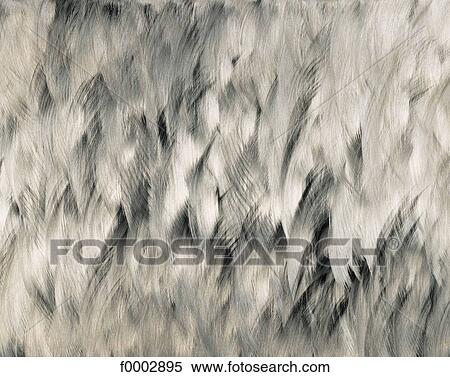 metal, grey, burnish, sheet of metal, reflection, reflecting, reflect View Large Photo Image Stock Photography - metal, grey, burnish, sheet of metal, reflection, reflecting, reflect. Fotosearch