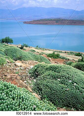 Morocco, Northern Africa, travel, travel exterior, open air, Haut Atlas, Ourika valley View Large Photo Image Picture - Morocco, Northern Africa, travel, travel exterior, open air, Haut Atlas, Ourika valley. Fotosearch