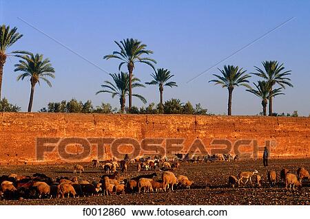 Morocco, Northern Africa, travel, travel exterior, open air, rampart, fortification View Large Photo Image Stock Image - Morocco, Northern Africa, travel, travel exterior, open air, rampart, fortification. Fotosearch