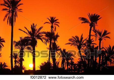 Morocco, Northern Africa, travel, travel exterior, open air, Marrakesh View Large Photo Image Stock Image - Morocco, Northern Africa, travel, travel exterior, open air, Marrakesh. Fotosearch