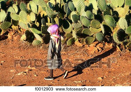 Morocco, Northern Africa, travel, travel exterior, open air, nature View Large Photo Image Stock Image - Morocco, Northern Africa, travel, travel exterior, open air, nature. Fotosearch