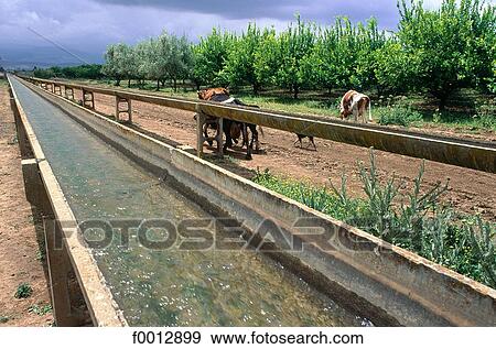 Morocco, Northern Africa, travel, travel exterior, open air, agriculture, water View Large Photo Image Stock Photo - Morocco, Northern Africa, travel, travel exterior, open air, agriculture, water. Fotosearch