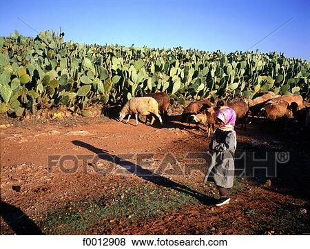 Morocco, Northern Africa, travel, travel exterior, open air, nature View Large Photo Image Stock Photo - Morocco, Northern Africa, travel, travel exterior, open air, nature. Fotosearch